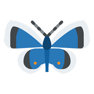 Le papillon